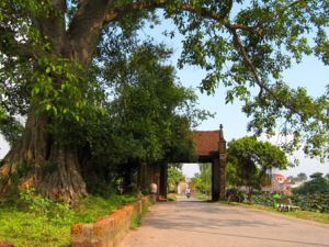 langco duong lam_69792.jpg